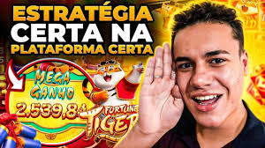 jogo do togrinho imagem de tela 4