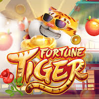 fortune pg - Slots Casino ícone